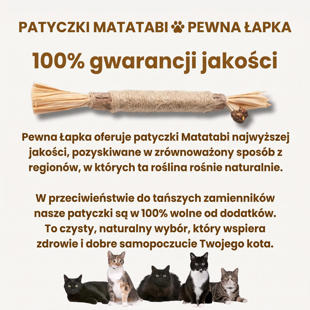 Pewna Łapka - Patyczki Matatabi